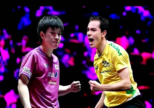 开云体育-关于比利时乒乓球队险胜法国乒乓球队，张本智和绝境逆转的信息