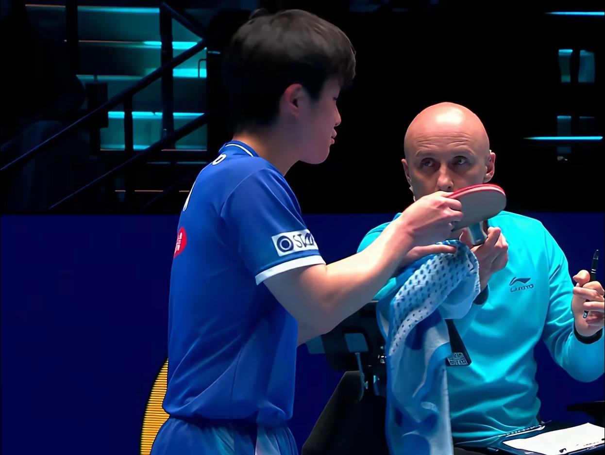 关于比利时乒乓球队险胜法国乒乓球队，张本智和绝境逆转的信息