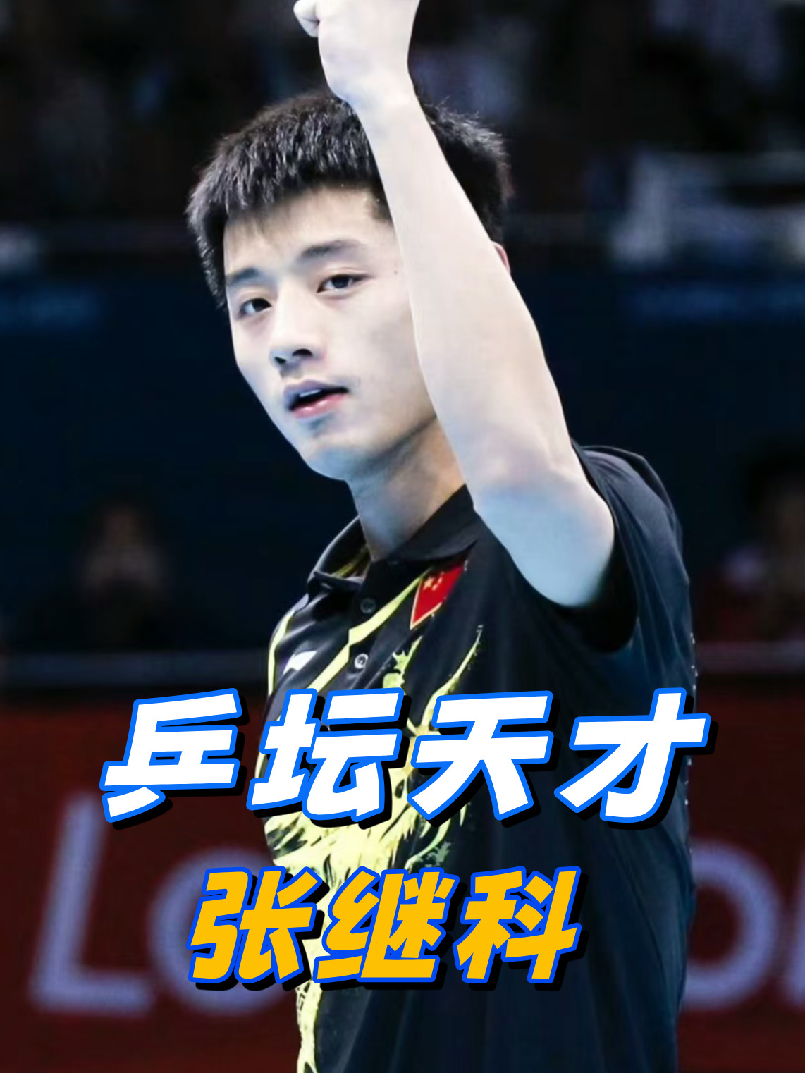 开云体育APP下载-波兰乒乓球队险胜法国乒乓球队，张继科惊艳世界的简单介绍