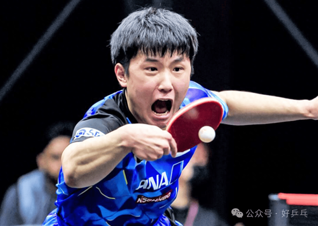 开云体育登录-葡萄牙队绝杀瑞典队，张本智和关键制胜
