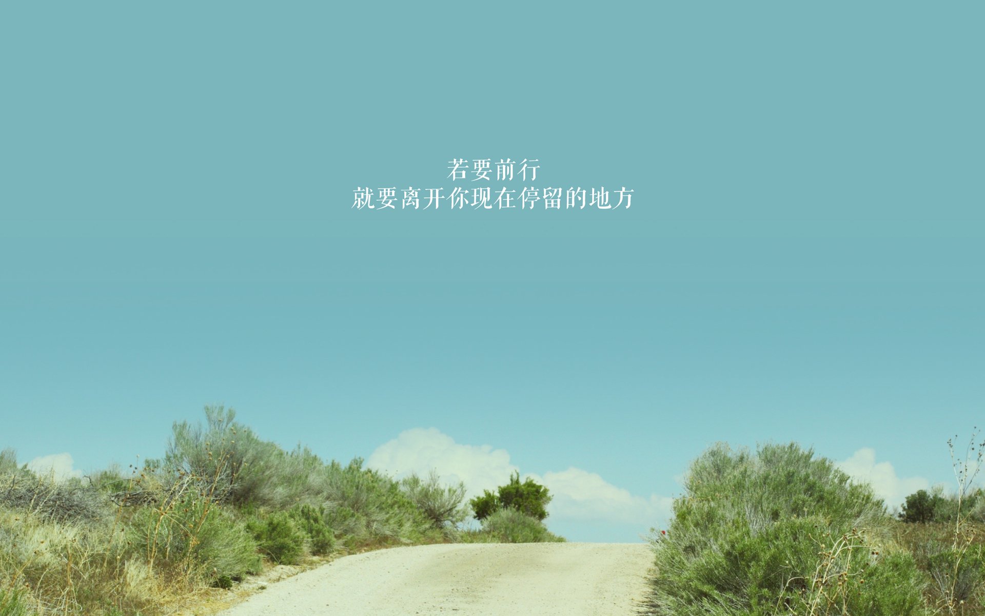 同一轮圆月下，从国家德比的喧嚣到鹈鹕与上海的低语