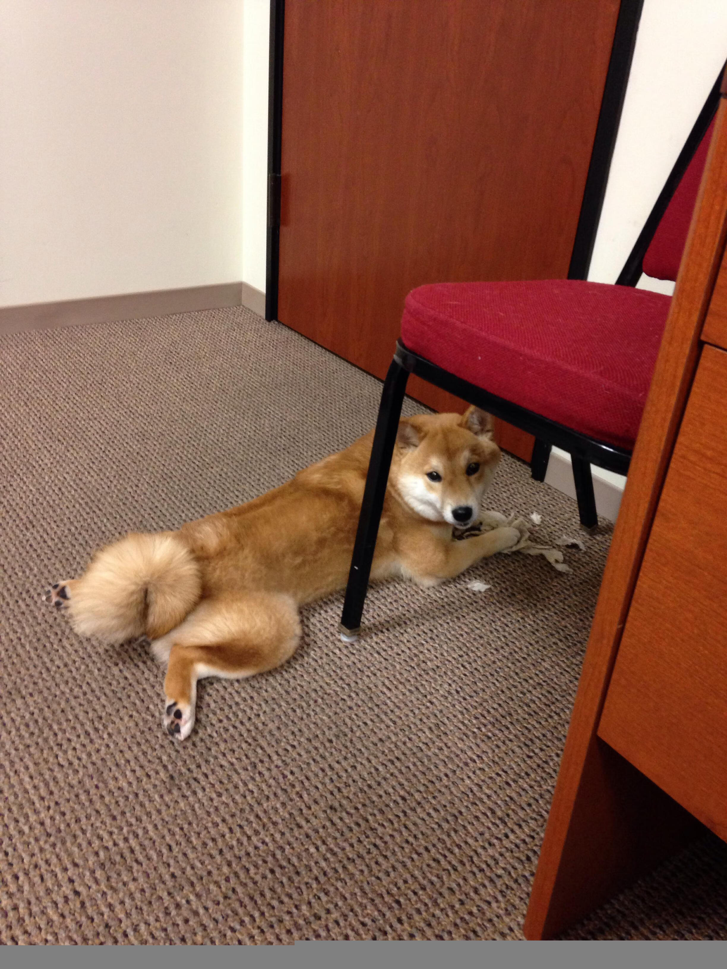 开云体育平台APP-南十字星对决地中海蓝，一场跨越半球的绿茵生死战