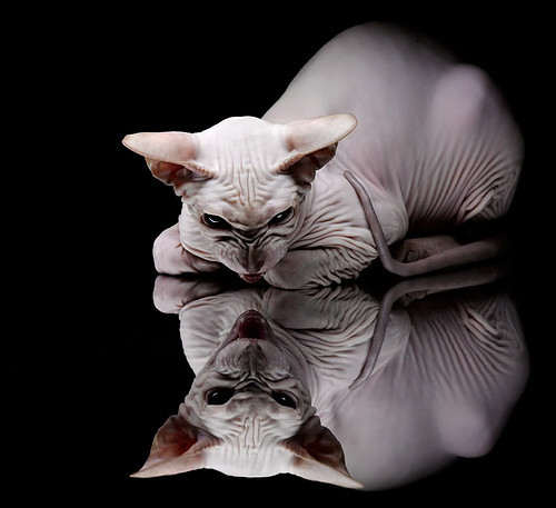 奥运前哨战，76人血肉磨盘冲垮雄鹿，关键战役背后的多重博弈