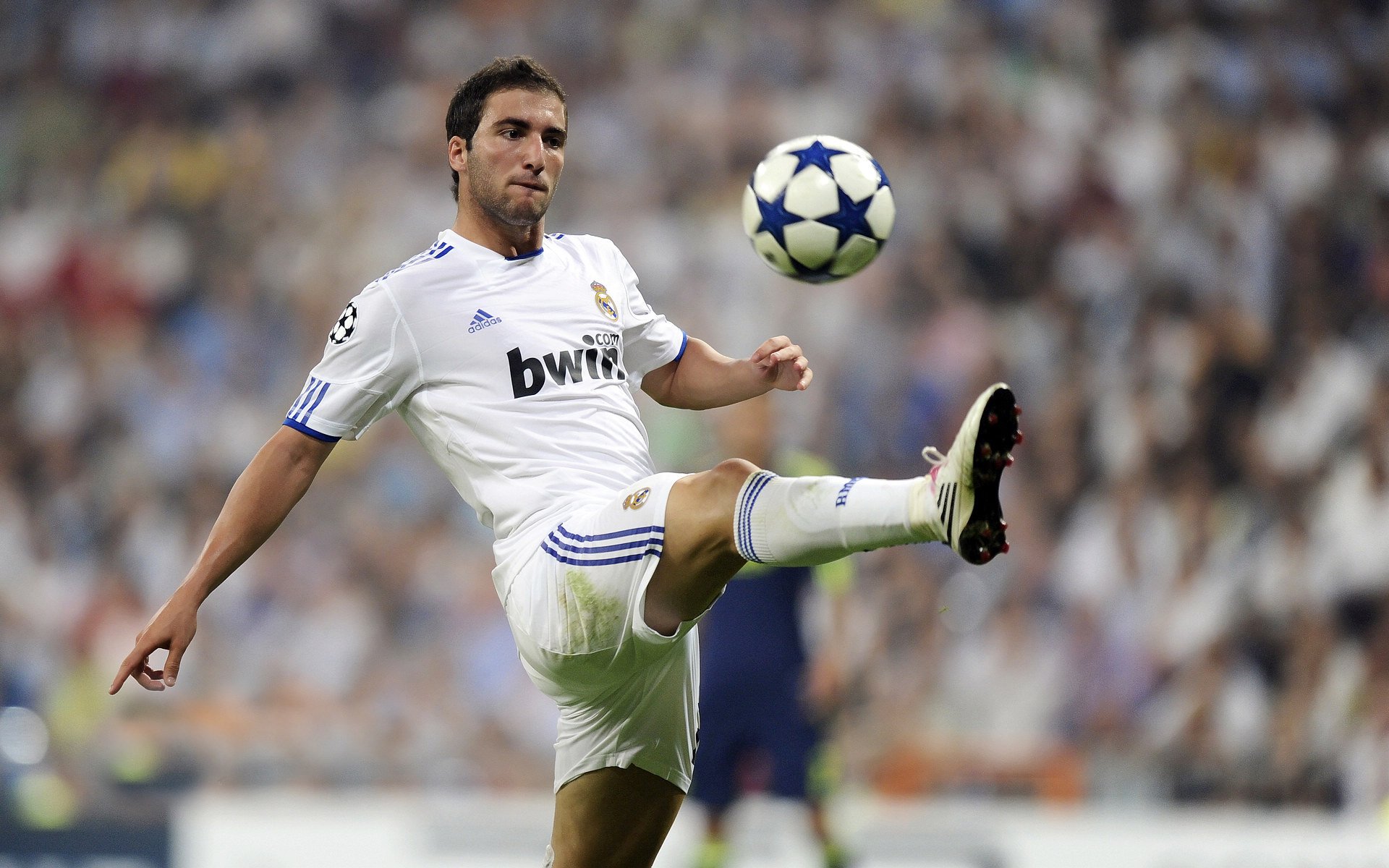 年度焦点之战之夜，弗拉霍维奇的高光传奇