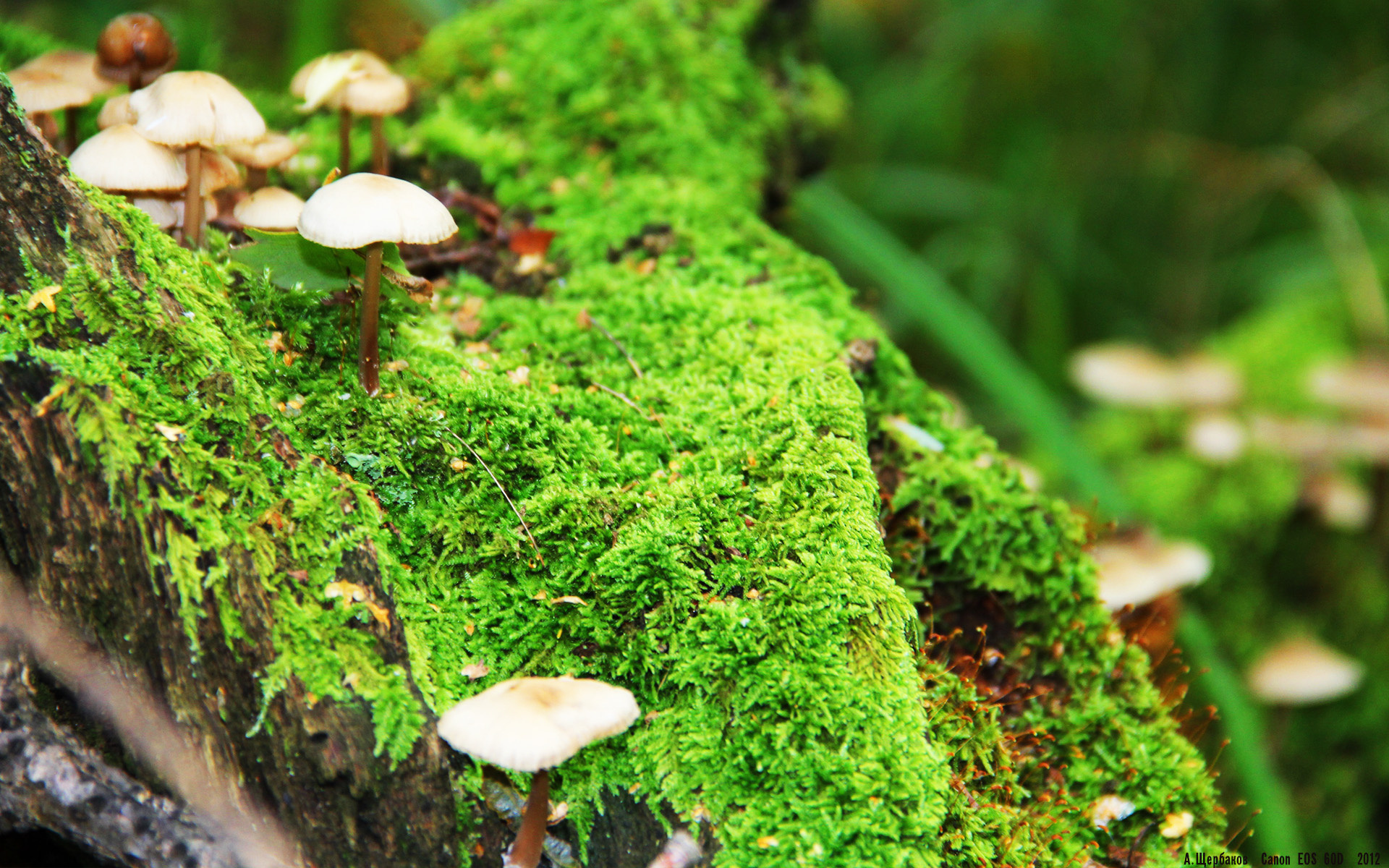 开云官网-东方鏖战与金色传奇,当中国本泽马在亚特兰大抢七时刻登场