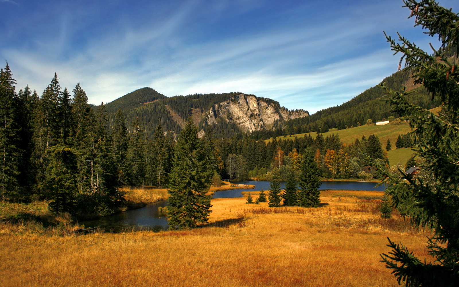 西决生死战焦点战，魔术队强势粉碎北京队，跨界对决震撼篮坛