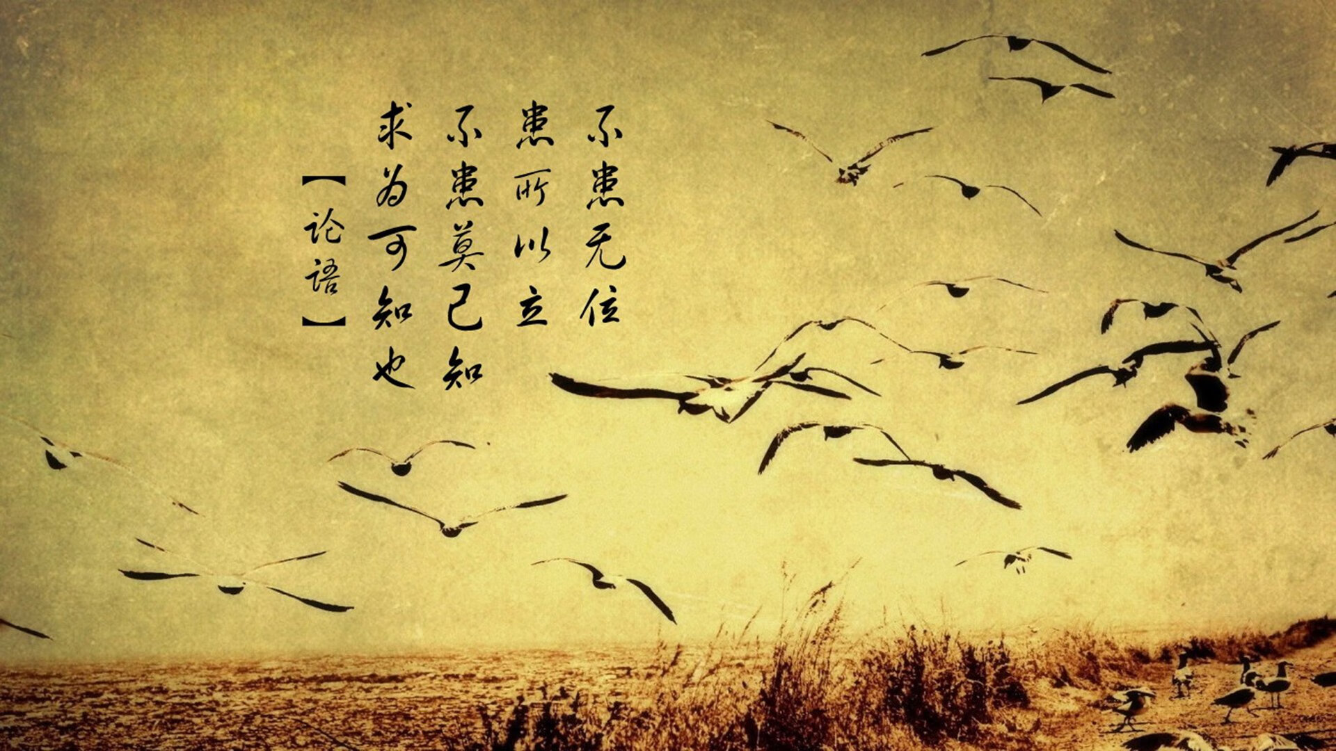 开云体育中国-杜兰特爆发背后,76人战术体系如何完成对骑士的战略绞杀?