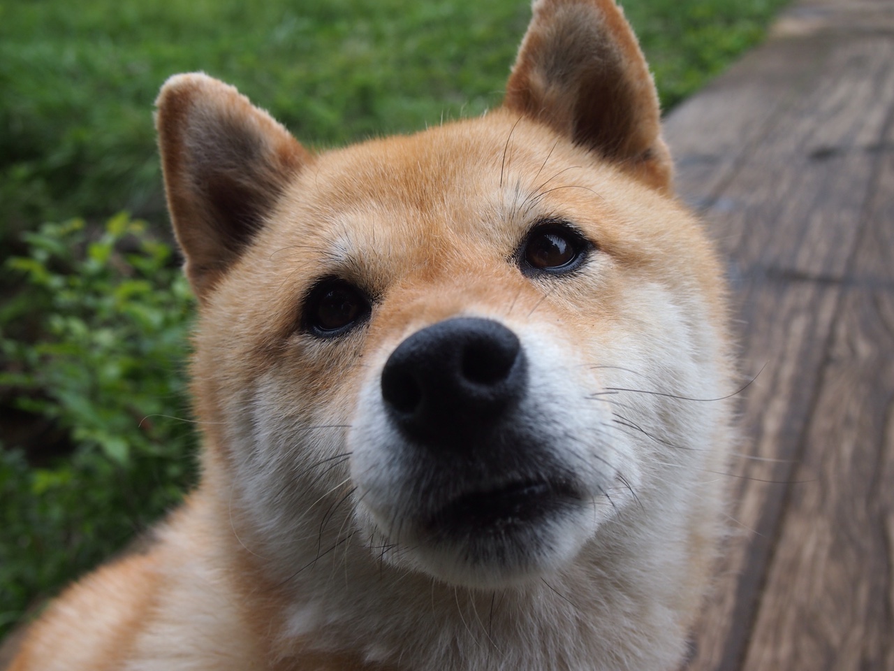 极速与篮焰,F1街道赛焦点战与76人横扫山西队的竞技交响