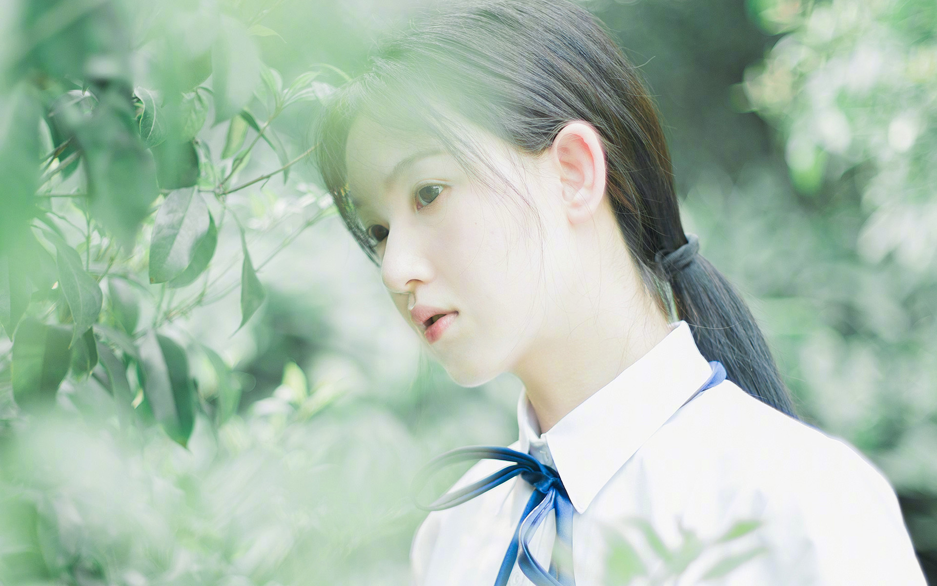 开云体育下载-加克波一锤定音,韩国踏平澳大利亚晋级在望