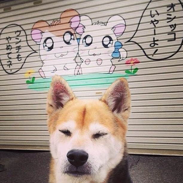 开云体育-灯火璀璨美加墨，一剑霜寒十四州，利拉德世界杯之夜铸就传奇里程碑