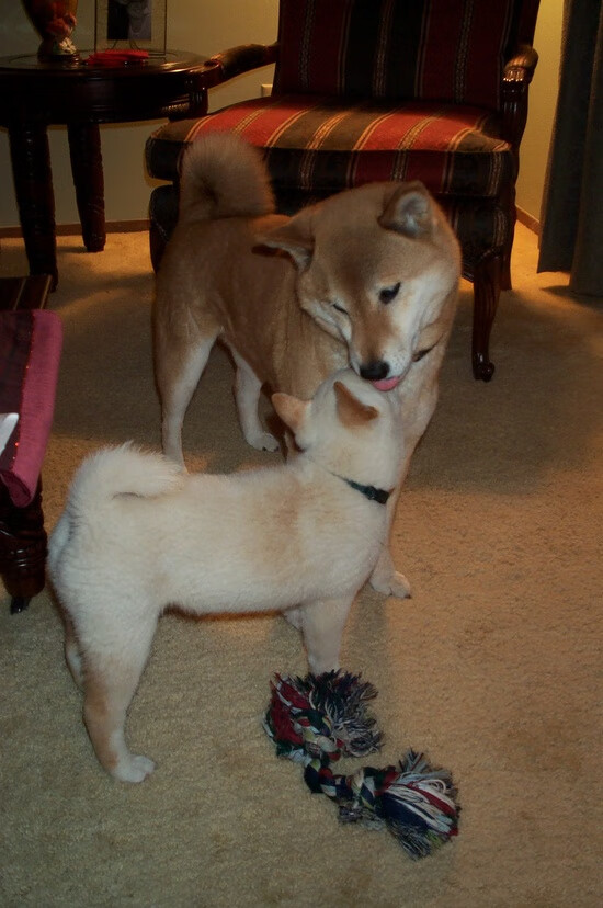 终结十年等待!压哨绝杀!迈阿密从俄克拉荷马城手中抢回冠军希望