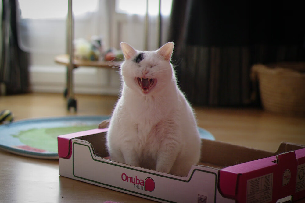 三巨头62分难敌关键先生!德罗赞末节独舞击溃太阳